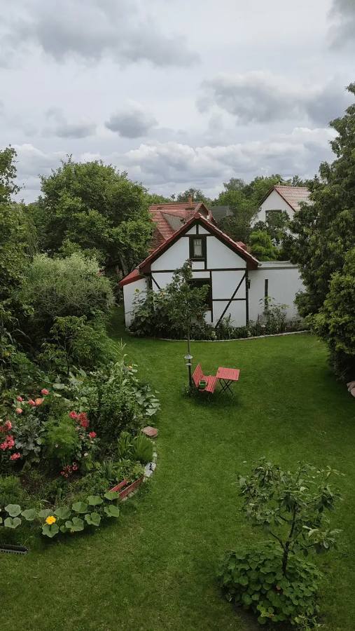 Blick aus dem Ferienhaus in den Garten mit Sitzplatz