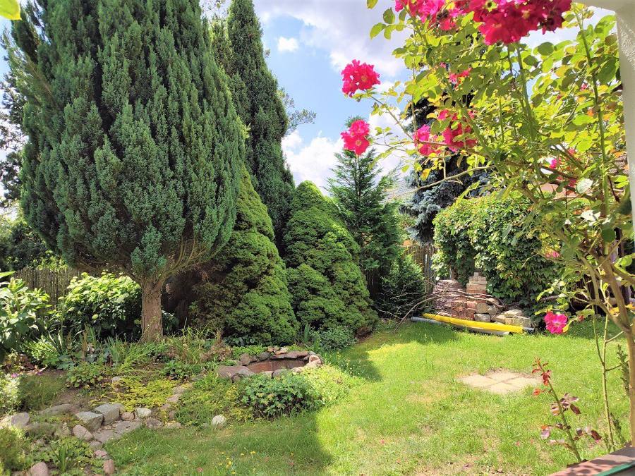 Garten des Ferienhauses mit Rosenbeet und hohen Koniferen